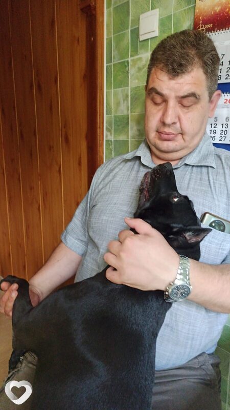 Илья, 43, Санкт-Петербурге — анкета №951666