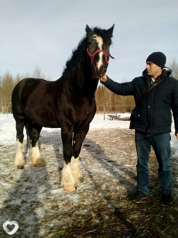 Андрей, 50, Астрахани — анкета №952454