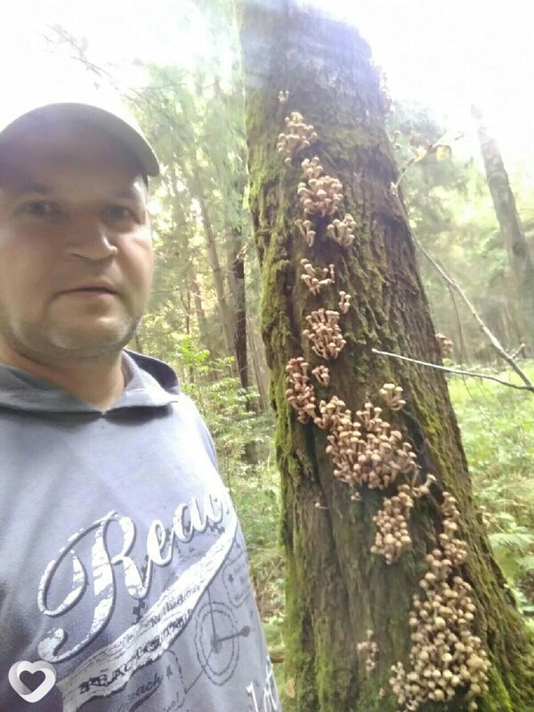 Павел, 46, Голицыне — анкета №953022
