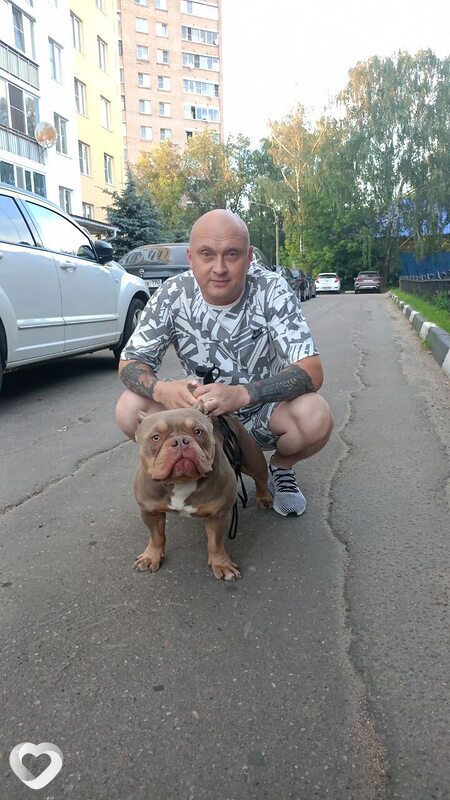 Михаил, 45, Солнечногорске — анкета №953516