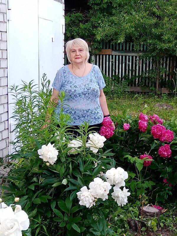 Нина, Тула