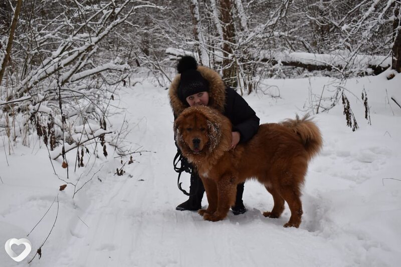 Аня, 41, Москве — анкета №957455