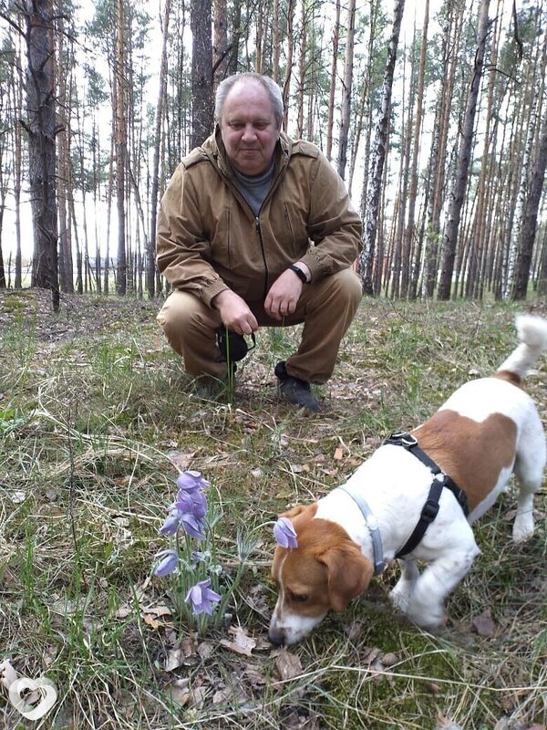 Виктор, 62, Серпухове — анкета №958839