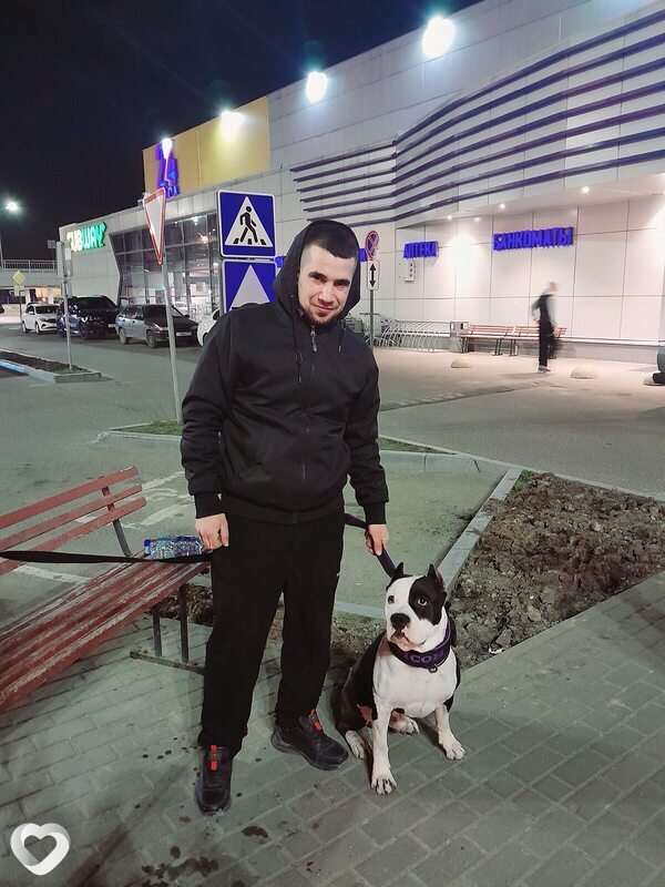 Fedo, 27, Ступине — анкета №960533