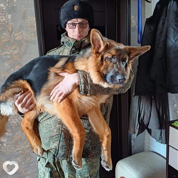 Андрей, 31, Петропавловске-Камчатском — анкета №961707