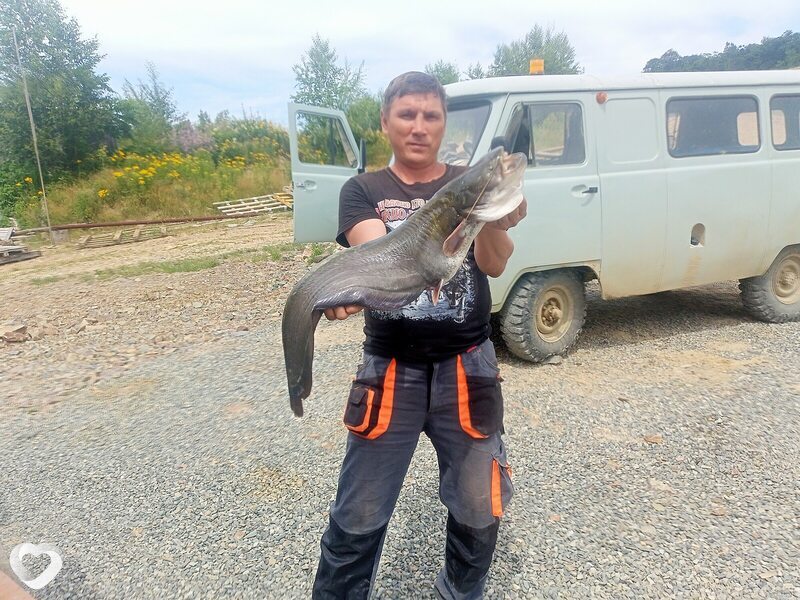 Алексей, 47, Сарапуле — анкета №962860
