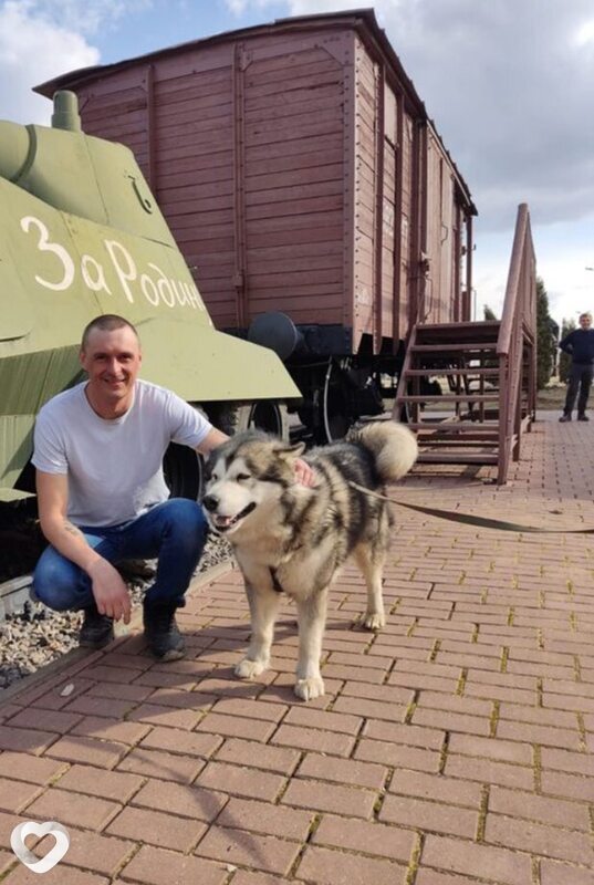 Николай, 36, Орше — анкета №973518