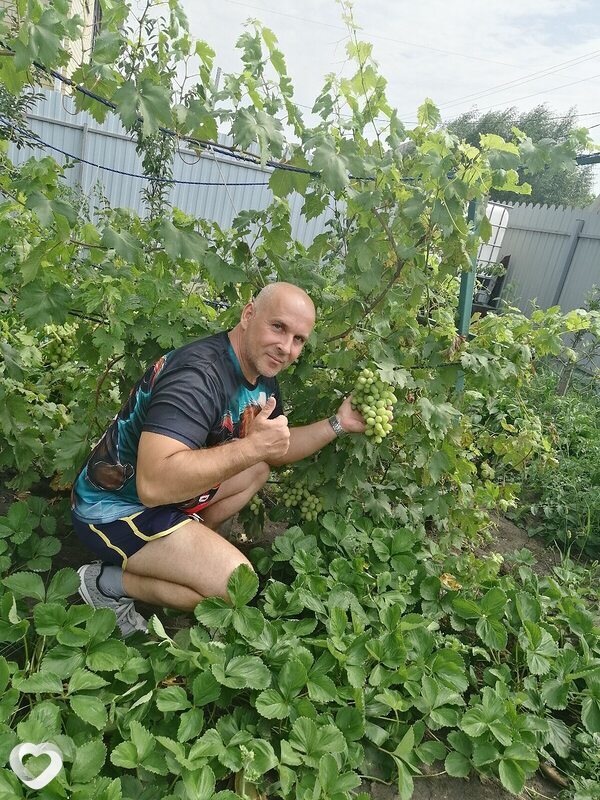 Михаил, 46, Воронеже — анкета №973553