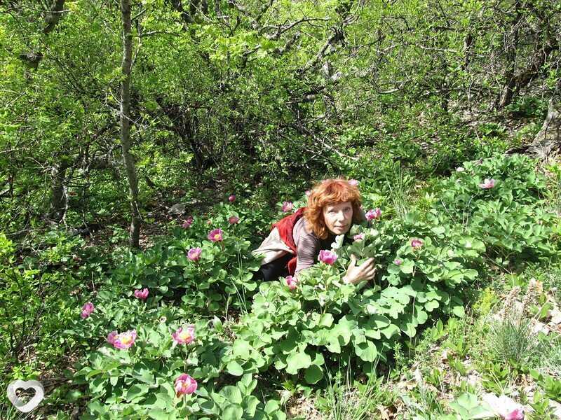 Ольга, 58, Феодосии — анкета №973670