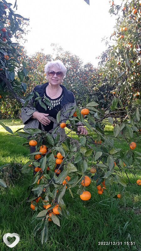 Мелиса, 65, Краснодаре — анкета №979969