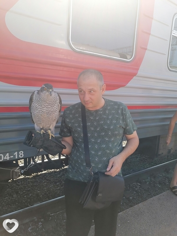 Дмитрий, 45, Пензе — анкета №987781