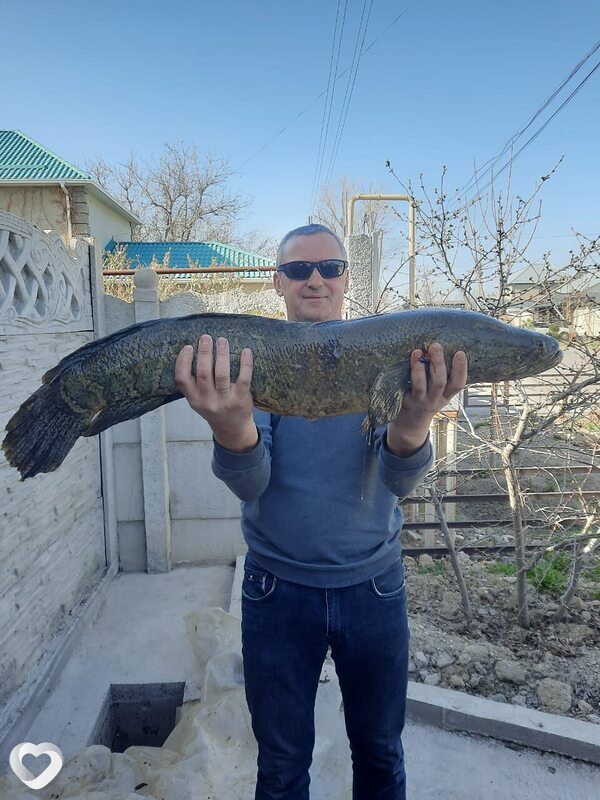 Юрий, 48, Алматы — анкета №987851
