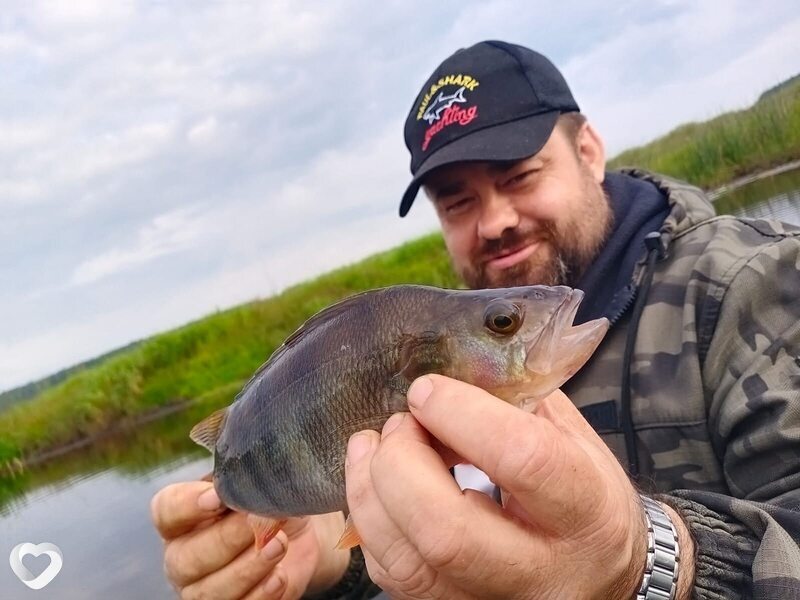 Александр, 48, Шатуре — анкета №988160