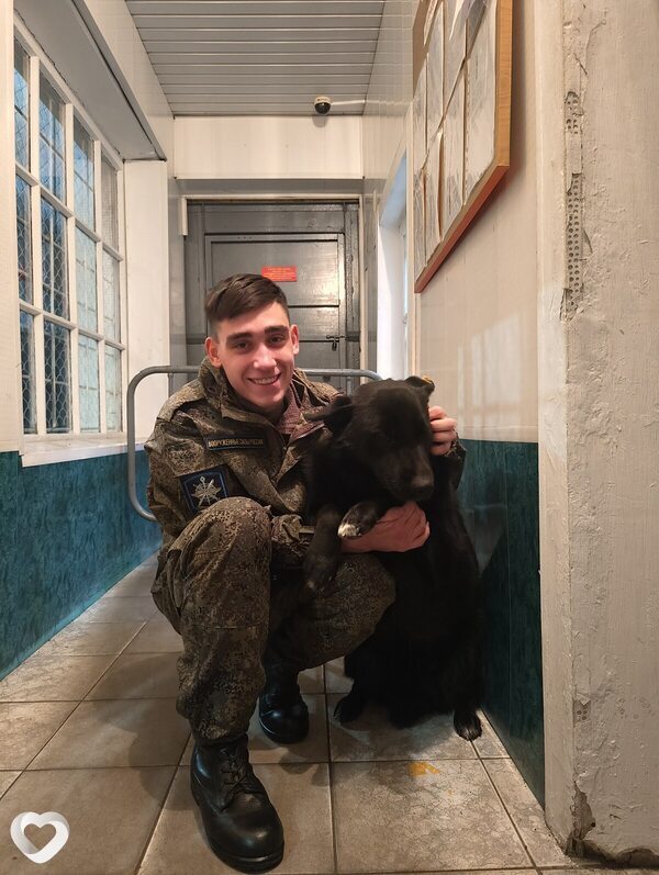 Макс, 23, Смоленске — анкета №988902