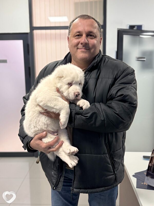 Сергей, 51, Полтаве — анкета №988923
