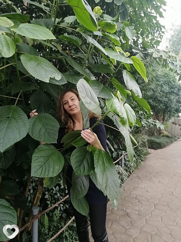 Евгения, 46, Новосибирске — анкета №991314