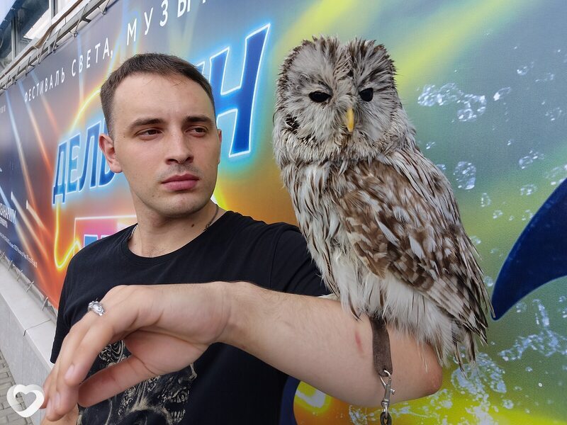 Денис, 29, Полевское — анкета №995512