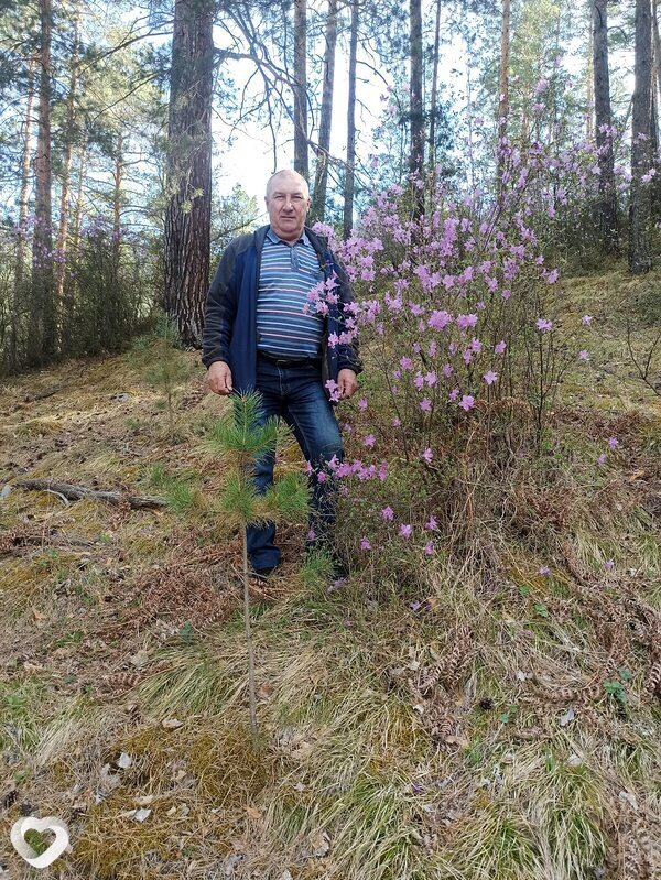 Анатолий, 61, Барнауле — анкета №996469