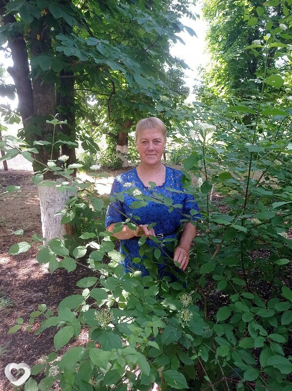 Галина, 63, Одессе — анкета №1001225