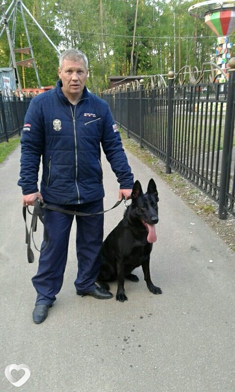 Александр, 54, Ногинске — анкета №1003074