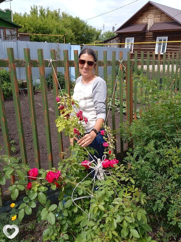Елена, Рассказово