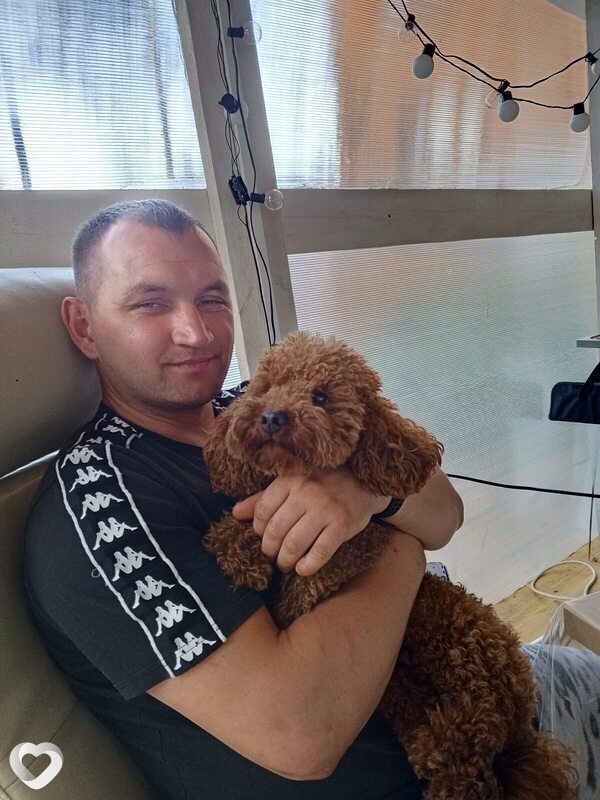 Николай, 36, Ступине — анкета №1005429
