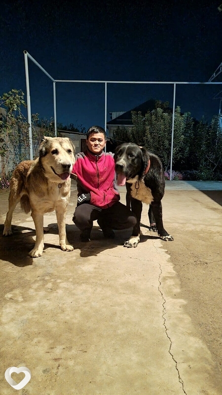 Шика, 34, Алматы — анкета №1006456