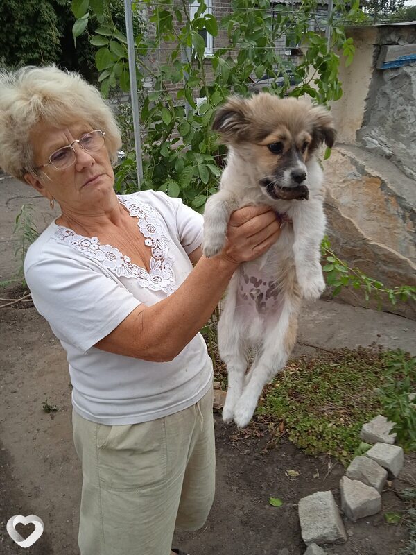 Тоня, 64, Киеве — анкета №1009148