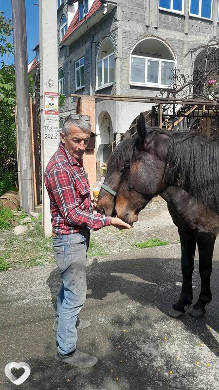 Николай, 56, Сочи — анкета №1018063