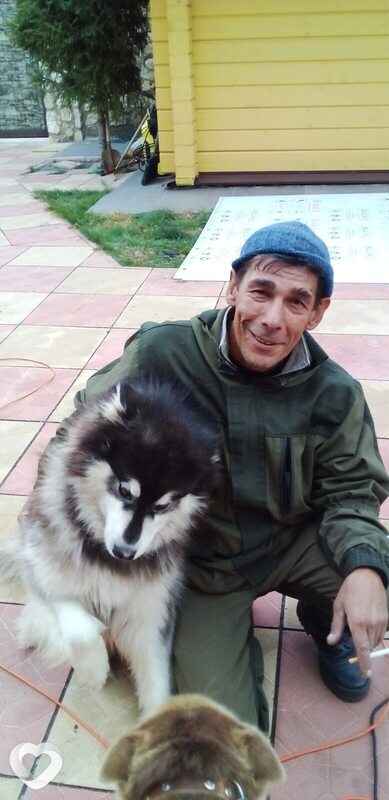 Вадим Алиев, Боровичи