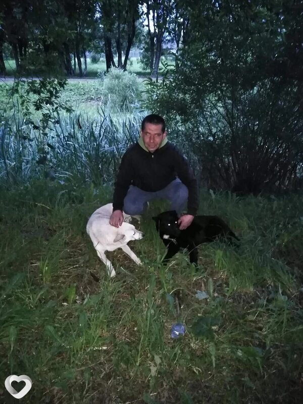 Андрей, 47, Донецк (Ростовская Обл.) — анкета №1024030