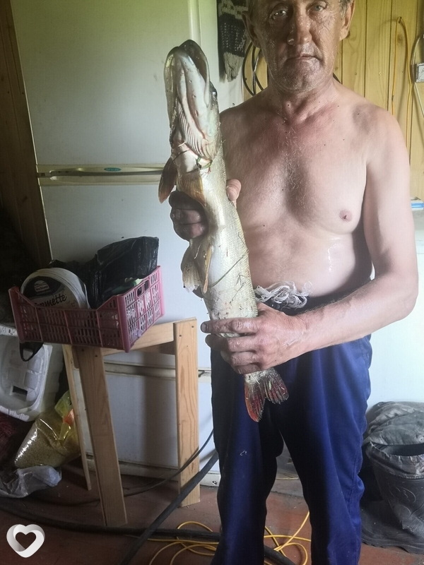 Димон, Тальменка