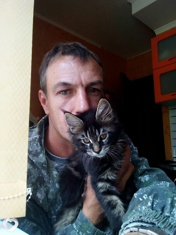 Denn, 52, Пикалеве — анкета №1029062