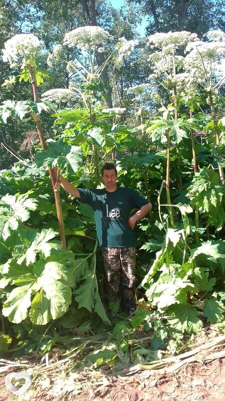 Сергей, 48, Кирове — анкета №1030162