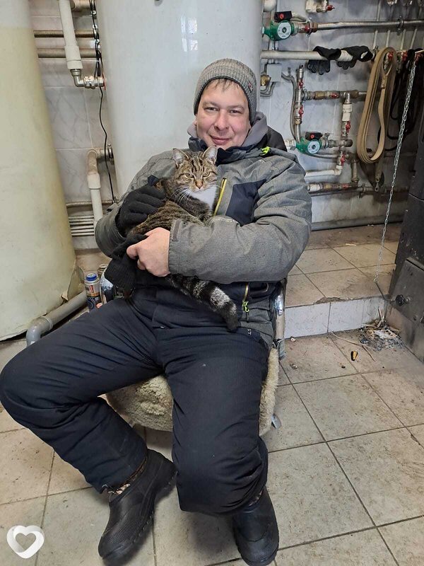 Дима, 39, Новосибирске — анкета №1030539