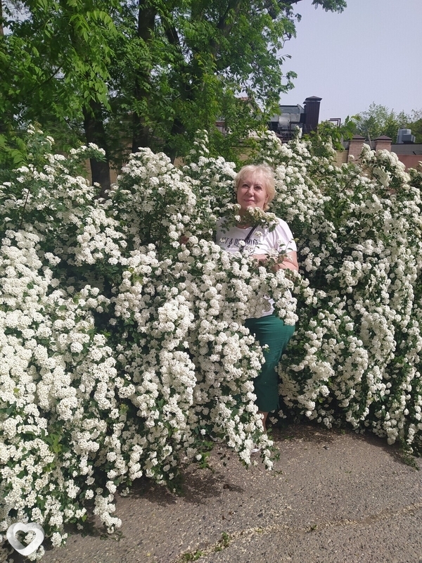 Лариса, 59, Перми — анкета №1031555