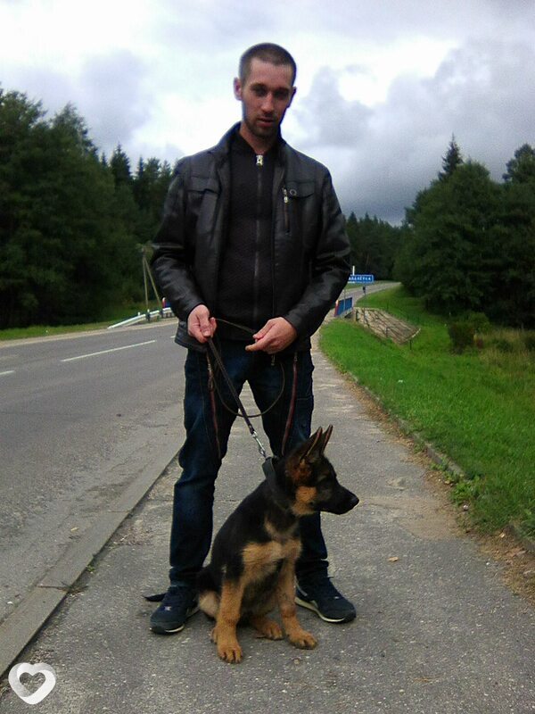 Дмитрий, 35, Островце — анкета №1032926