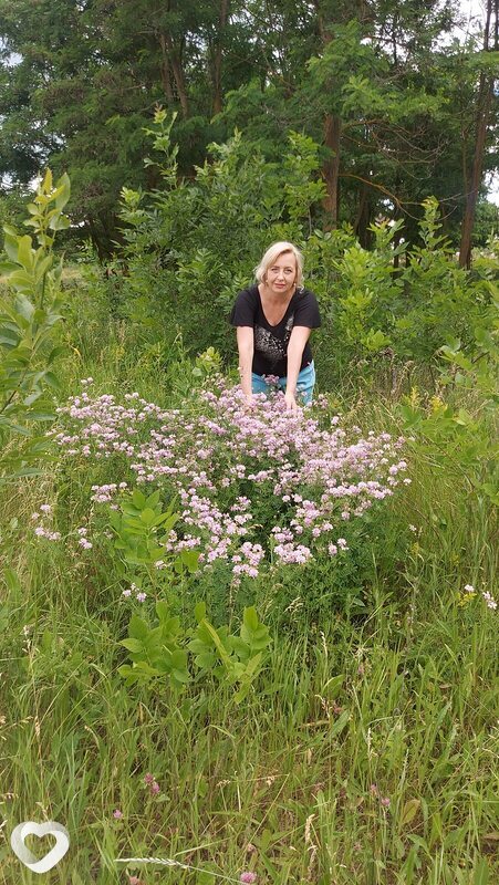 Дарья, 53, Белгороде — анкета №1033568