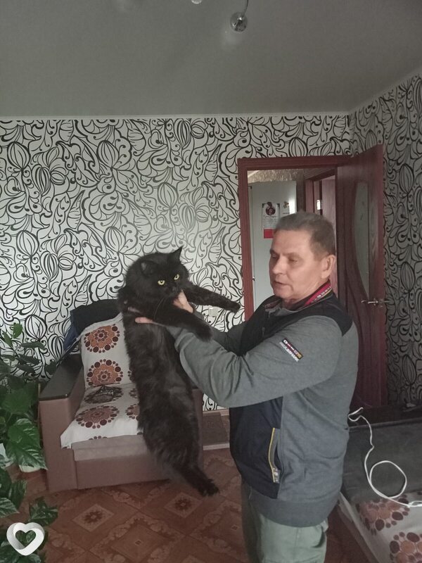 Ренат, 63, Уфе — анкета №1034699