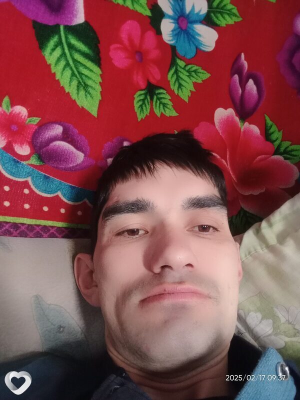 Дима, Моргауши