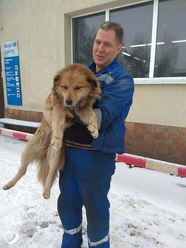 Александр, 45, Москве — анкета №1037479