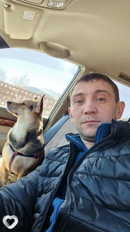 Dmitriy, 37, Кавалерово — анкета №1039098