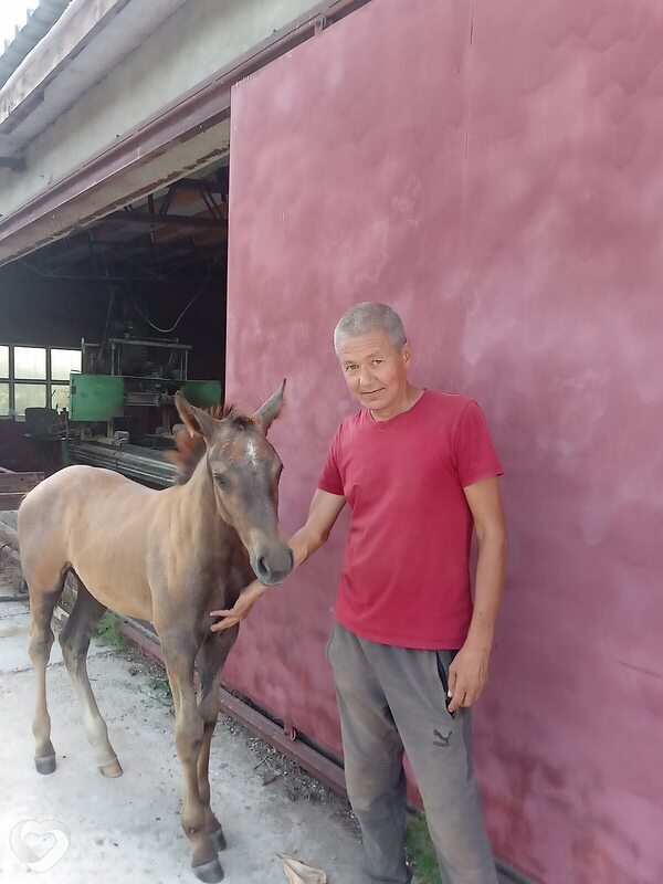 Юрий, 54, Сургуте — анкета №1041288