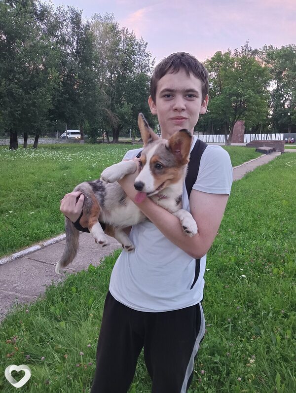 Алексей Сидоров, 20, Москве — анкета №1043226