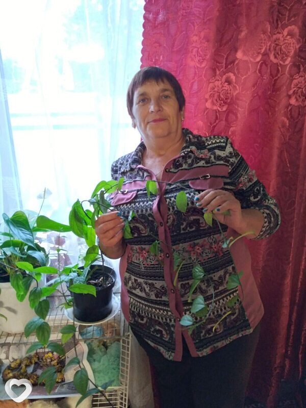 Нина, 61, Старом Осколе — анкета №1046113