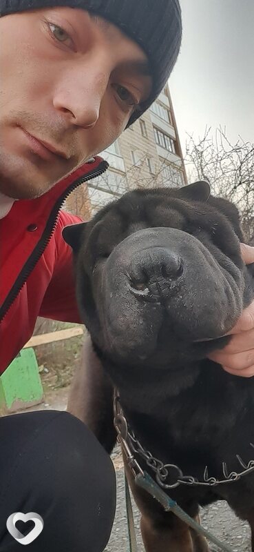 Денис, 34, Лесное — анкета №1049680
