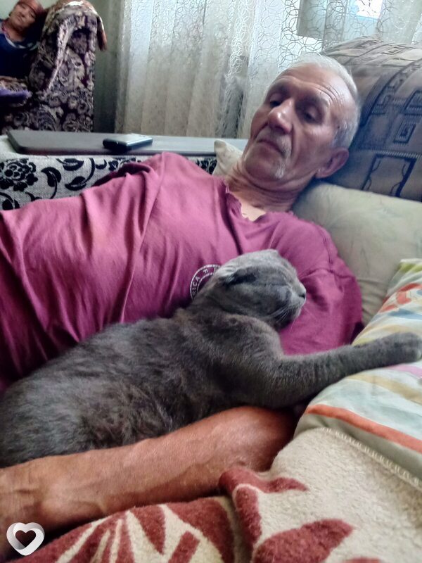 Василий, 60, Курске — анкета №1052606