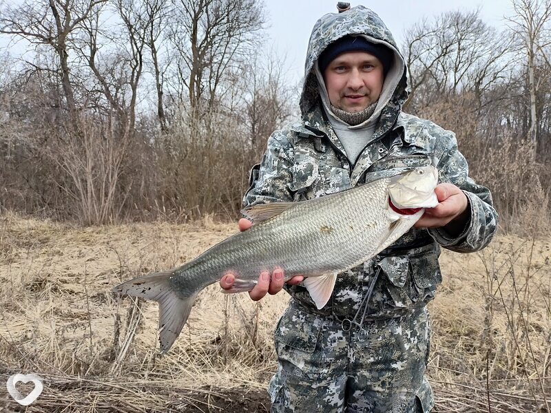 Радик, 41, Альметьевске — анкета №1052725
