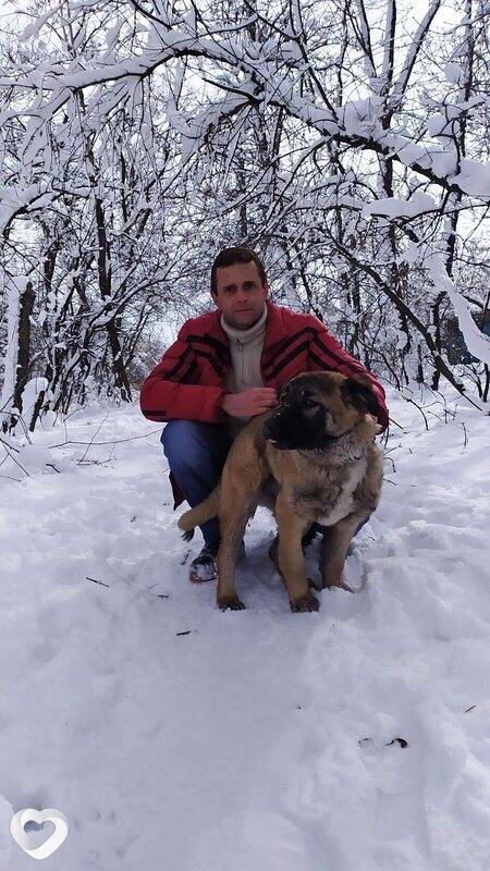Рома, 46, Антраците — анкета №1053015
