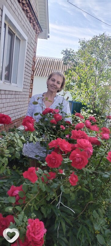 Галина, Бавлы